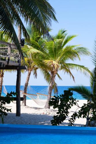 Beachcomber Island Resort - All Inclusive in Wyspy Mamanuca