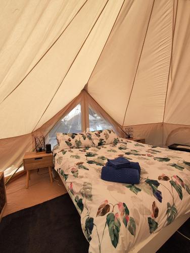 Glamping at Zeehan Bush Camp in Zeehana