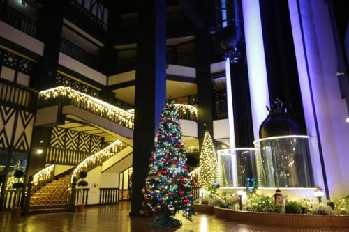 大厅, 绿色广场白马酒店 (Hotel Green Plaza Hakuba) in 白马