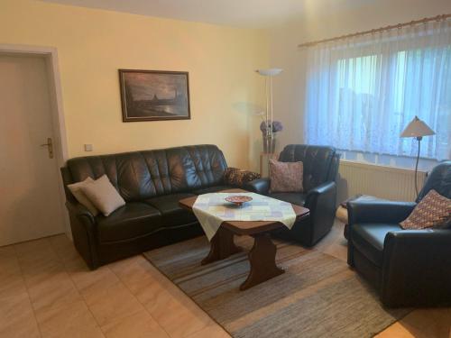 Ferienwohnung über den Dächern von Dresden - image 4