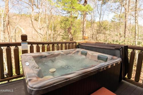 Wuzzys Flophouse cabin in Sevierville, USA