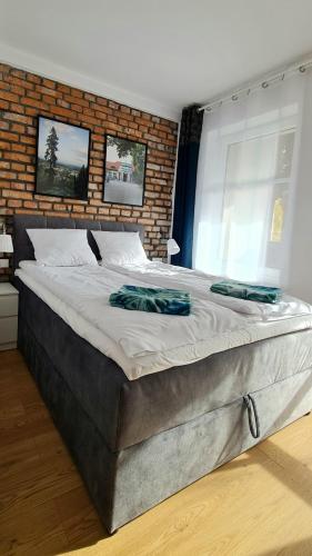 1 double bed, 1 sofa bed