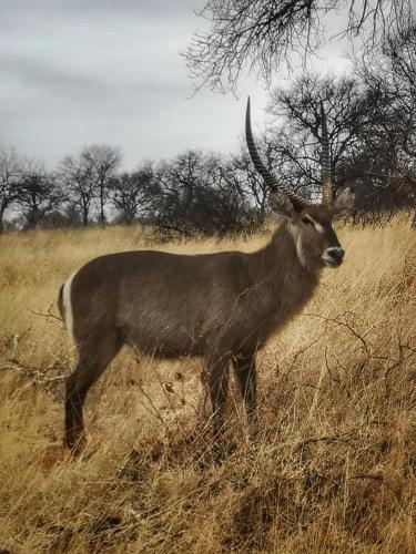 Selwane Nature Reserve