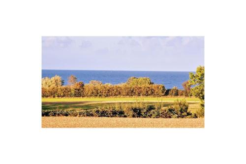 Ferienwohnung-Weitblick