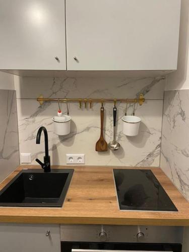 Kitchen, GREENSIDE Apartment Work&Travel Nahe Weinheim, HD, MA in Birkenau