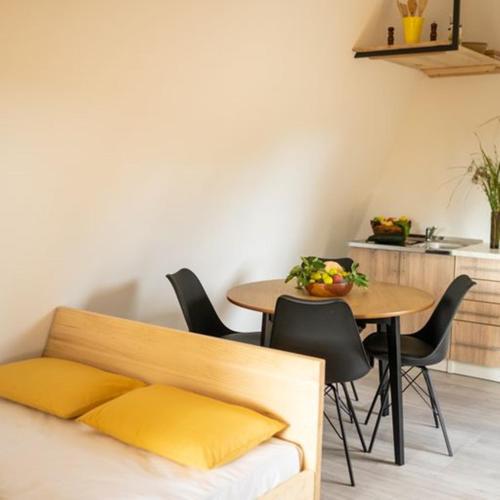 Studio with Terrace