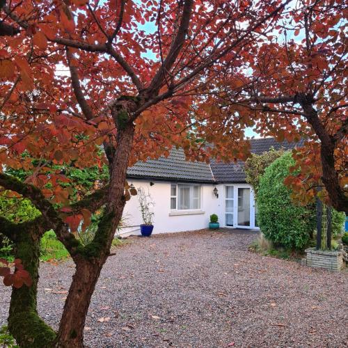 Nara Seaside Retreat