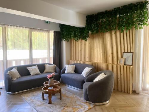 Casa Forrest & SPA in Muntele Băişorii