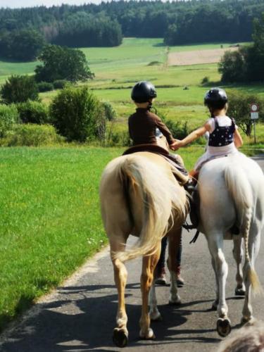 Ferienwohnung mit Sauna Reiterhof barrierefrei in Hessisch Lichtenau