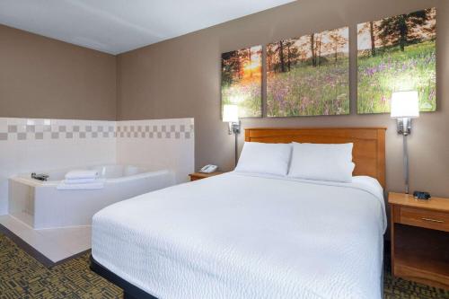 Days Inn & Suites by Wyndham Madison - image 7