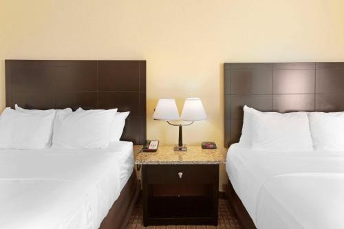 Comfort Inn Near Grand Canyon - image 14