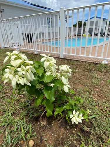 Les Terrasses de Vinty 3 villas autour d'une piscine