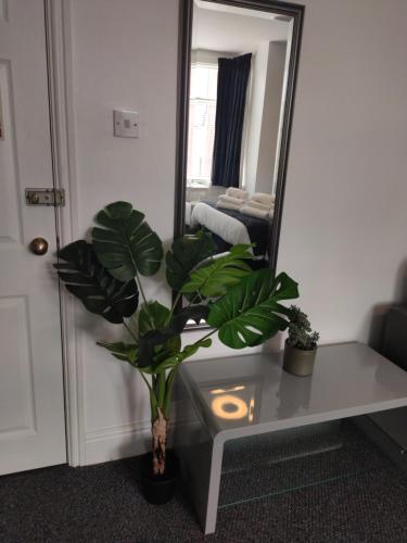The Seacroft Guest House - image 2