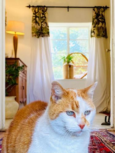 Die Kuierhuis - Central Stay, Local Hosts & Genuine Vibes Die Kuierhuis - Central Stay, Local Hosts & Genuine Vibes