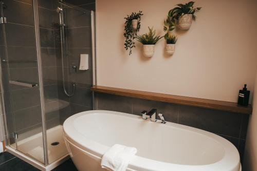 Lake Resort Suite: Views & Amenities in Lac Superieur (QC)
