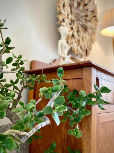 Die Kuierhuis - Central Stay, Local Hosts & Genuine Vibes Die Kuierhuis - Central Stay, Local Hosts & Genuine Vibes