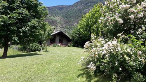 La Pâquerette - Accommodation - La Salle