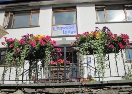 Lingwood Lodge - image 9