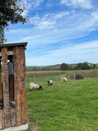 La bergerie du padu - Location saisonnière - Salies-de-Béarn