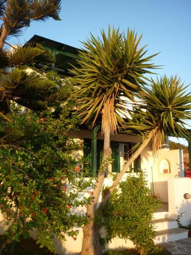  Manolis Farm Guest House, Pension in Aliko Beach bei Iraklia