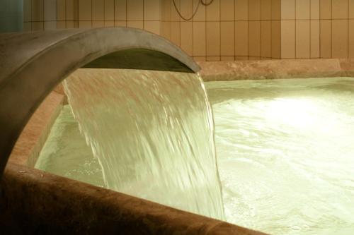 İsa Begov Hamam Hotel - image 12