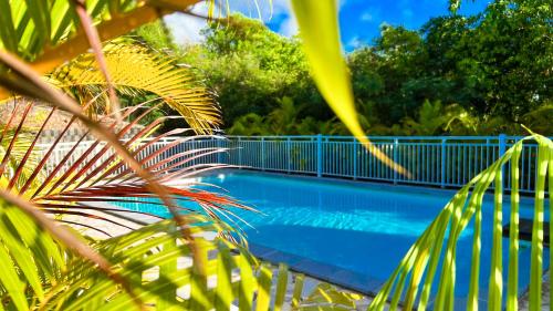 Magnifique Appartement Fleurs Caraïbes - 6 personnes en résidence avec piscine privée - Sainte Anne