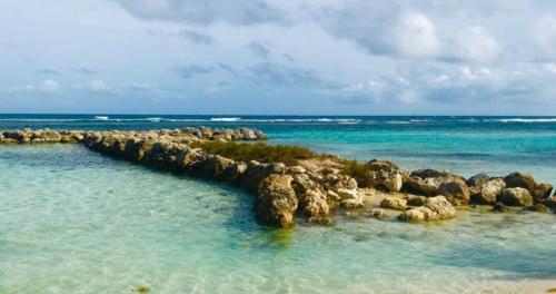 Magnifique Appartement Fleurs Caraïbes - 6 personnes en résidence avec piscine privée - Sainte Anne