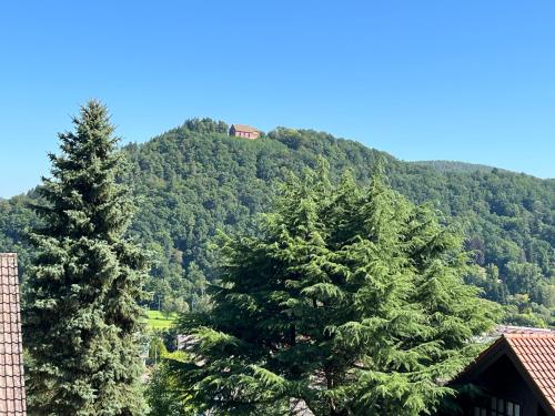 Weitblick 1 in Amorbach, Deutschland