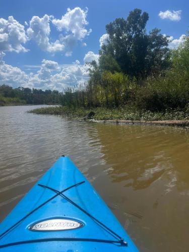 Humble Cove Lake Cottage: kayaks, fishing, firepit