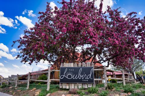 The Loubird Inn