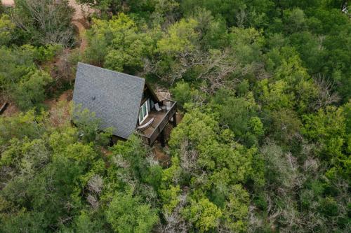 The Maverick: A-Frame w/ Hammock and Tree Top View