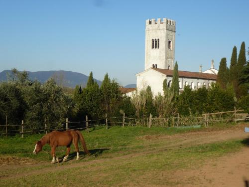 Casa Marce a "Sonno"