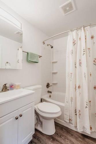 Cozy, Central 1B Apt Close to UC Hospitals, DT in Bellevue, USA