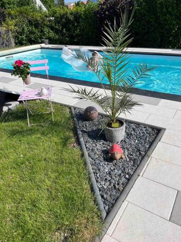 Uitzicht, Le gîte des cigogneaux (Le gite des cigogneaux) in Schwenheim