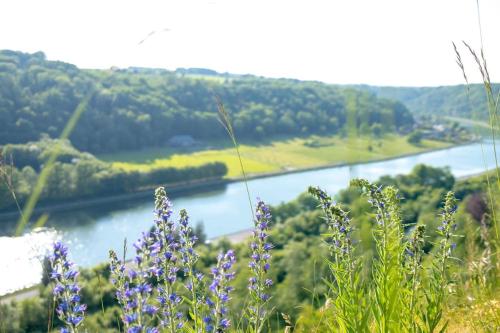 Want to take it easy at the Meuse valley?