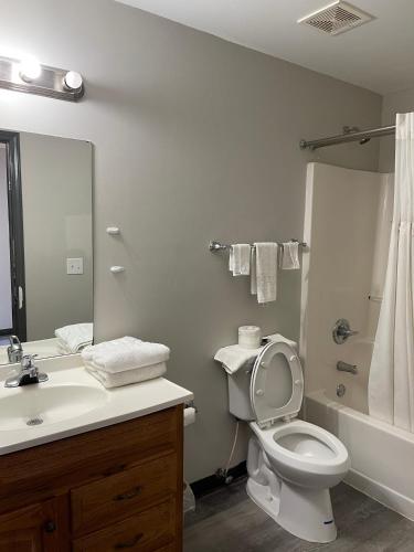 Fürdőszoba, High Falls Inn & Suites in Stockbridge (GA)