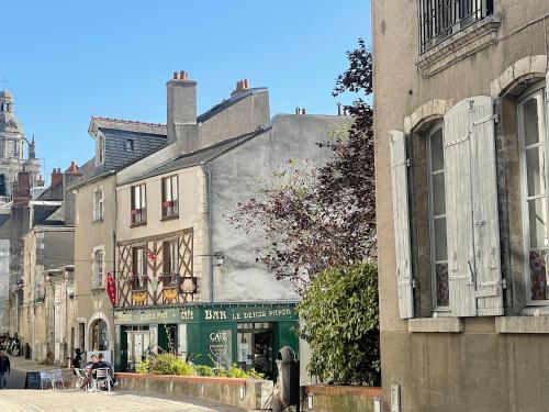 Charme Historique de Beauvoir au Cœur de Blois in Blois