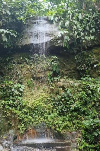 Tuvākā izklaides vieta, La Marujita villa de campo in Pedro Vicente Maldonado