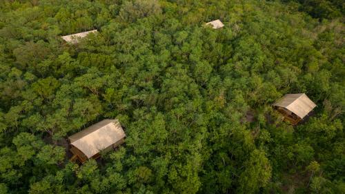 Apkārtne, Campizo Glamping - Monterrey X NANTLI LIVING in Canoas