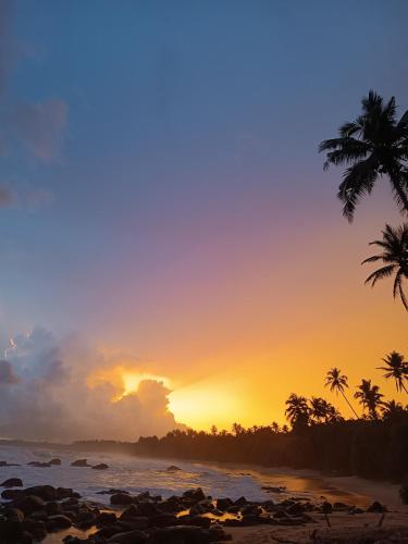 Double Room with Sea View room in Beach House Kalukatiya - Family Villa Seaview Room Garden Room Beach Cabana
