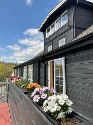 Davids Kulle - image 2