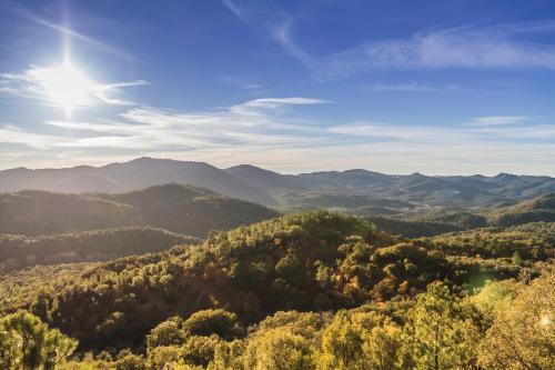 Pozuelo 3 JABUGO