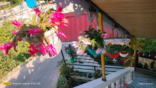 Skats, 1100m² 5 guļamistaba, 5 privāta vannas istaba Villa Mirik
 (Holidays homestay ) in Mirik