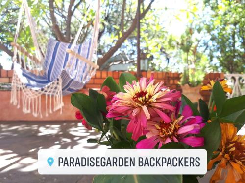 grădină, ParadiseGarden Backpackers in Windhoek