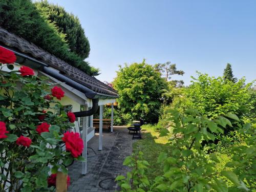  Lukas Haus, Pension in Uitikon bei Rudolfstetten