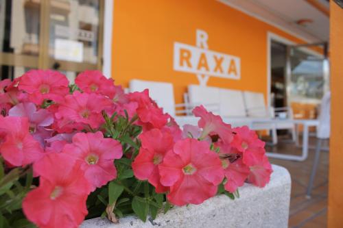 Hotel Raxa - main image