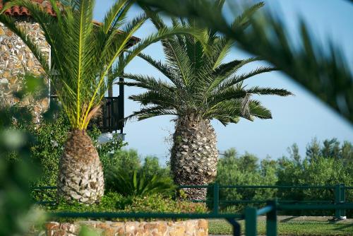 Glavas Inn Hotel – Gerakini, 07