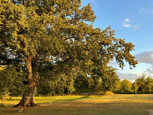 Garden, Le Grand Chene in Allemans-du-Dropt
