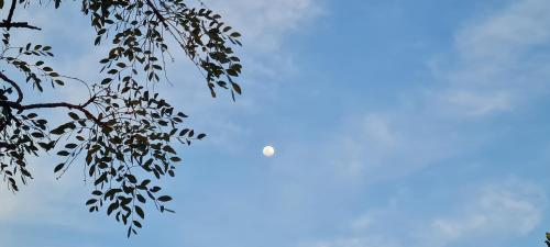 Getaway with mountain views, BBQs & hikes near Cradle of Humankind Getaway with mountain views, BBQs & hikes near Cradle of Humankind