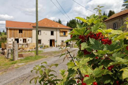 La Ferme de Jean entre lacs et montagnes - Chambre d'hôtes - Saulxures-sur-Moselotte